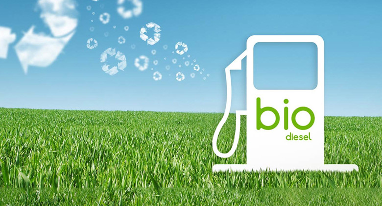 Study of the European Biodiesel market in Europe