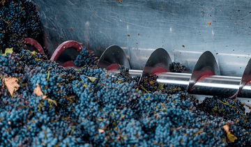 Examination of the market price of a complex of equipment for the acceptance and processing of grapes with a capacity of 900 tons per day