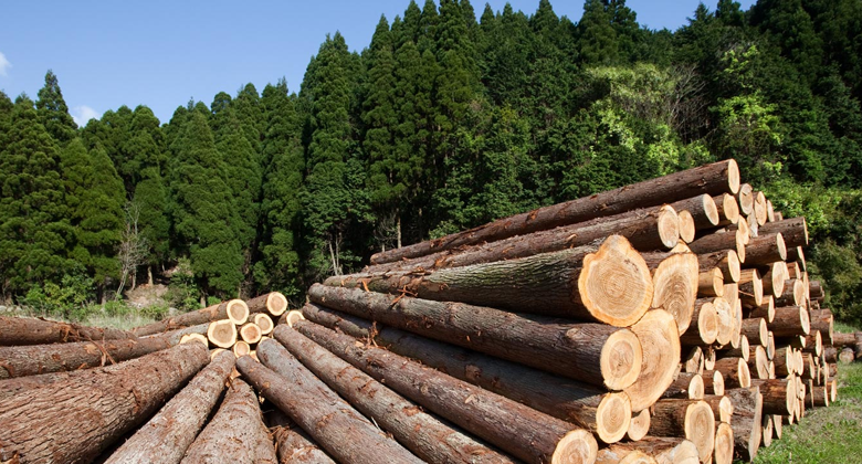 Research of the Russian market of energy carriers, softwood timber and waste paper