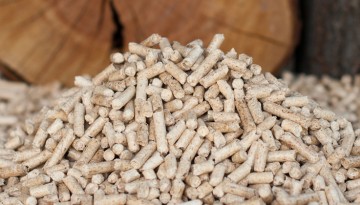 Studies of the market for export lumber and pellets